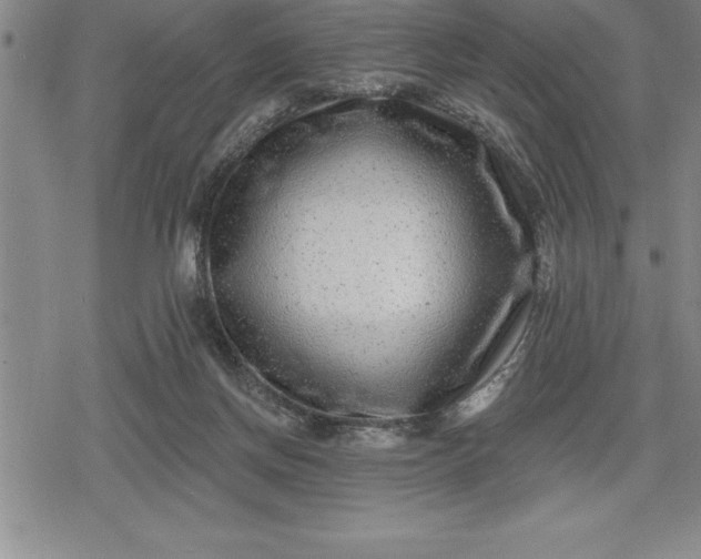 X0000080200166200612221414