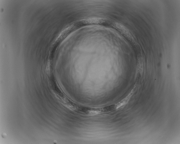 X0000080200167200612221414