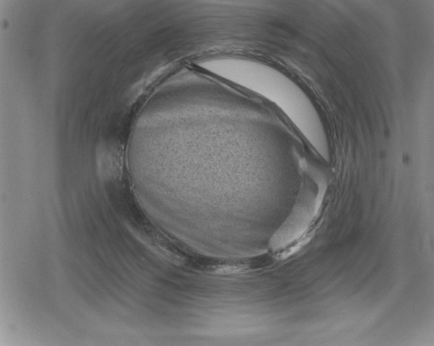 X0000080200168200612221414