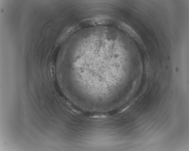 X0000080200169200612221414