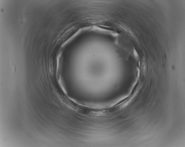 X0000080200170200612221414