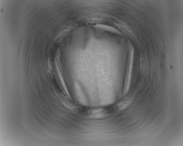 X0000080200173200612221414