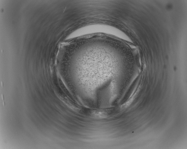 X0000080200174200612221414