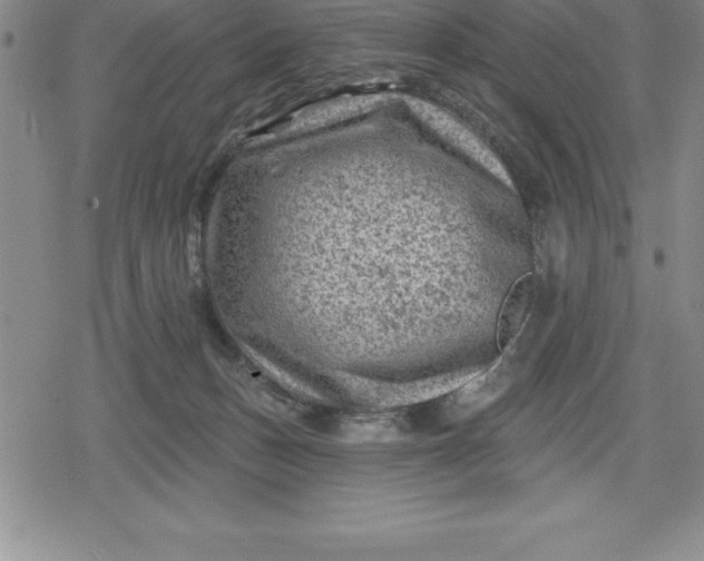 X0000080200175200612221414