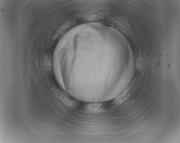 X0000080200179200612221414