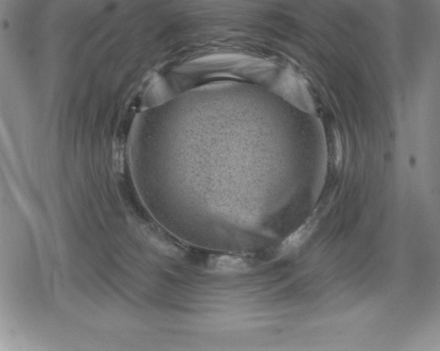 X0000080200180200612221415