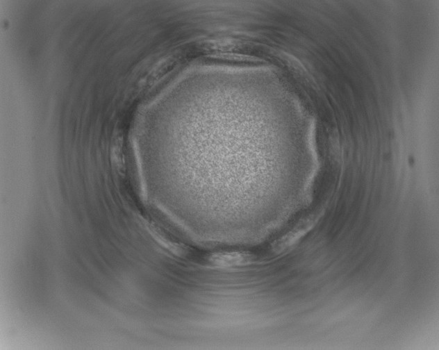 X0000080200181200612221415