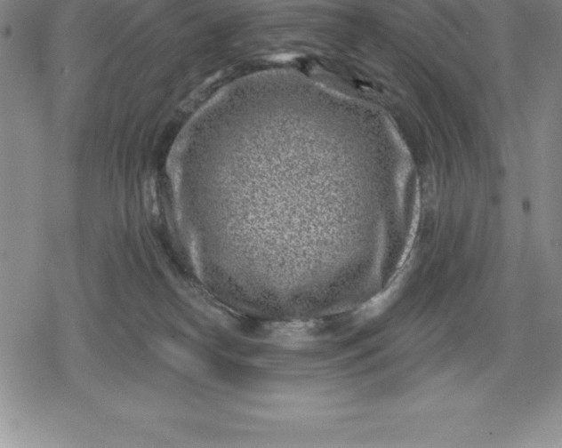 X0000080200182200612221415