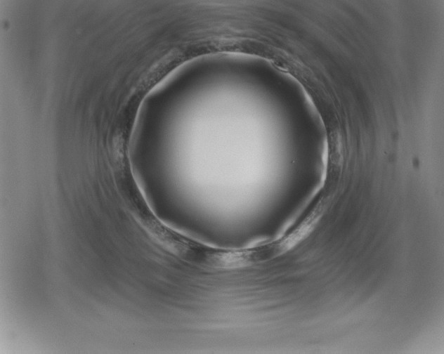 X0000080200184200612221415