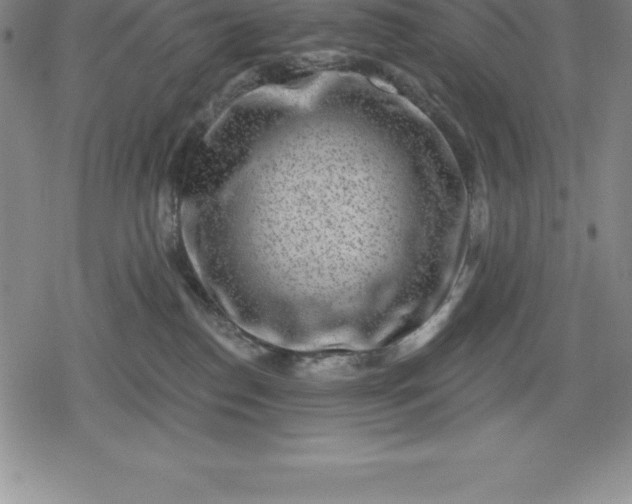 X0000080200186200612221415