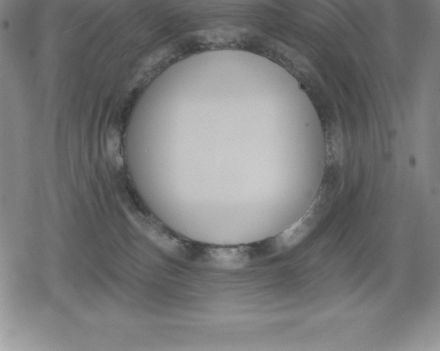 X0000080200187200612221415