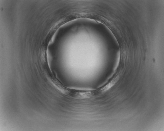 X0000080200188200612221415