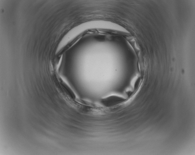 X0000080200190200612221415