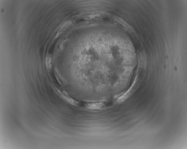 X0000080200191200612221415