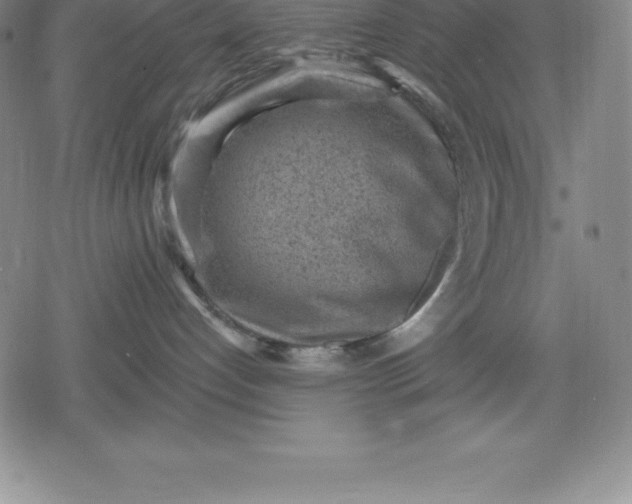 X0000080200192200612221415