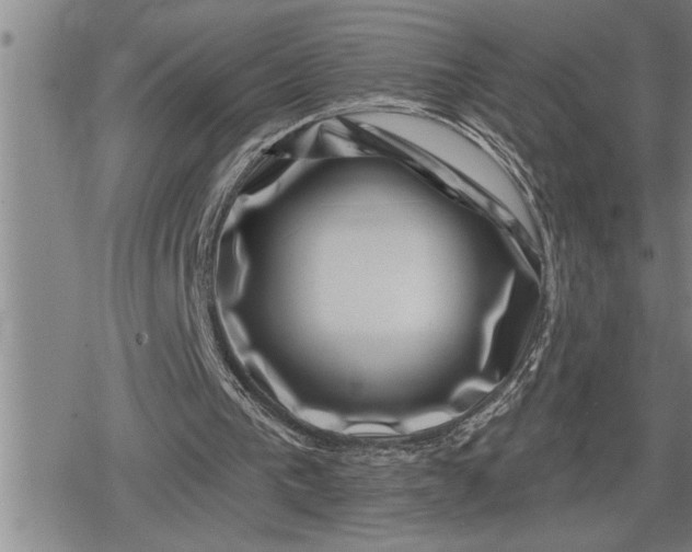 X0000080200193200612221414