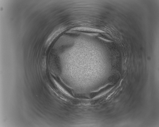 X0000080200194200612221414