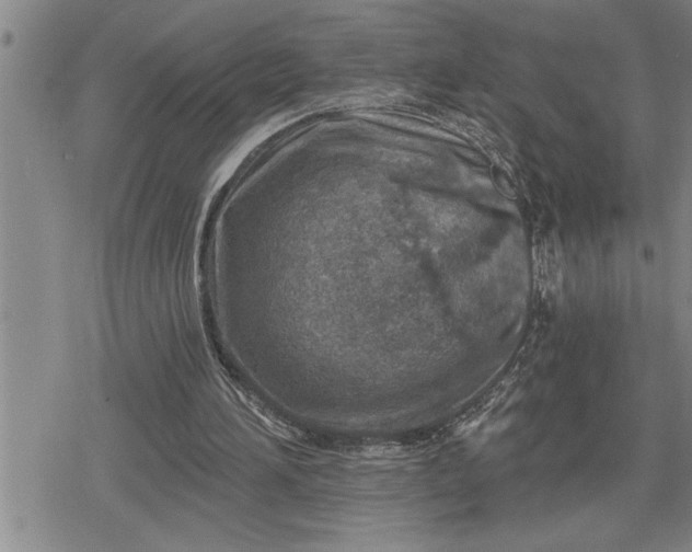 X0000080200196200612221414