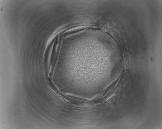 X0000080200198200612221414