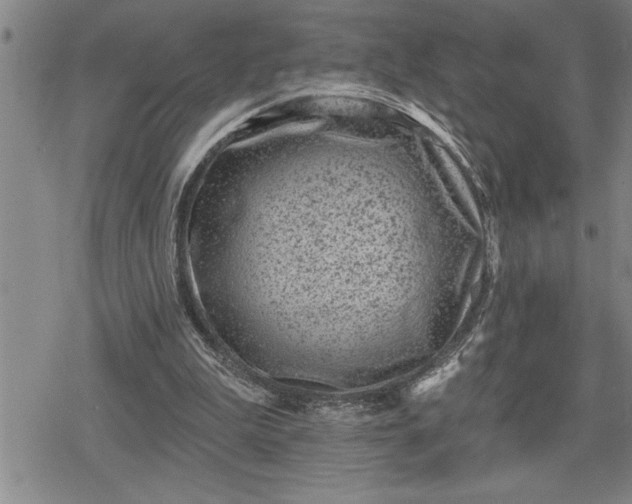 X0000080200199200612221414