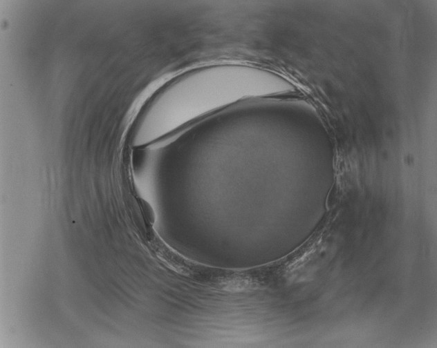 X0000080200200200612221414