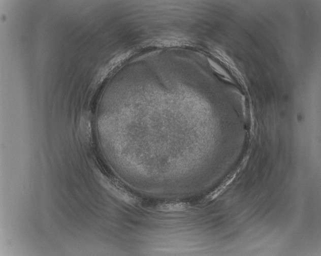 X0000080200202200612221414