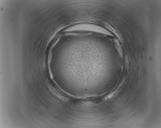 X0000080200203200612221414