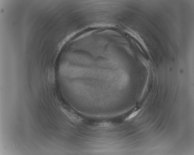 X0000080200204200612221414