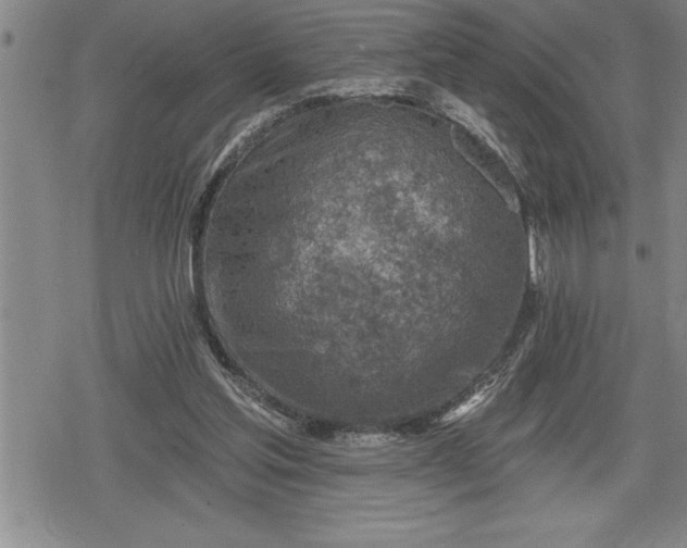 X0000080200205200612221414