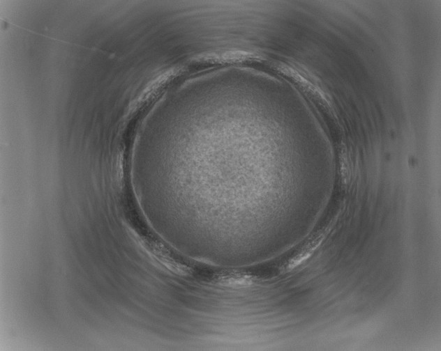 X0000080200206200612221414