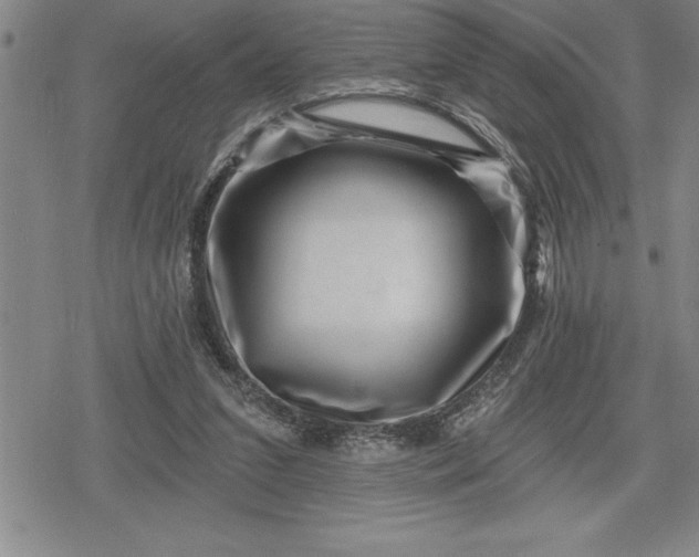 X0000080200207200612221414