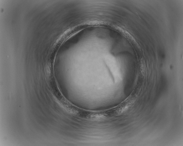 X0000080200208200612221414