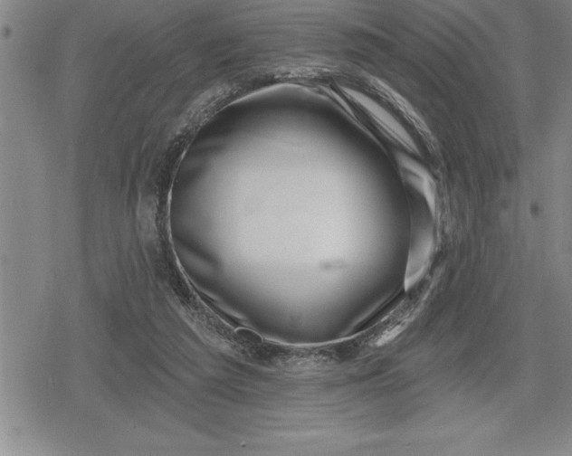 X0000080200209200612221414