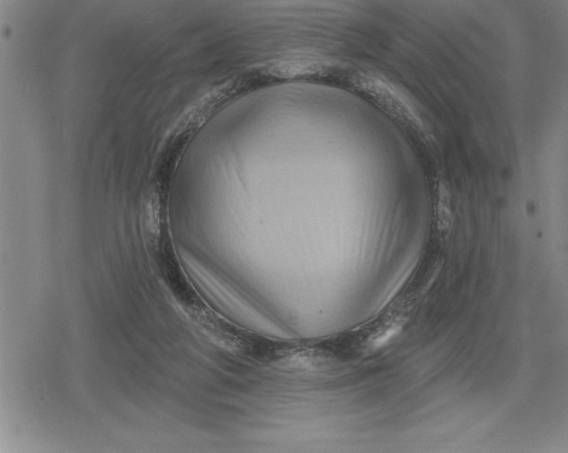 X0000080200210200612221414