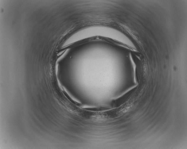 X0000080200211200612221414