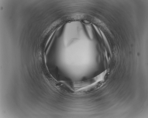 X0000080200212200612221414