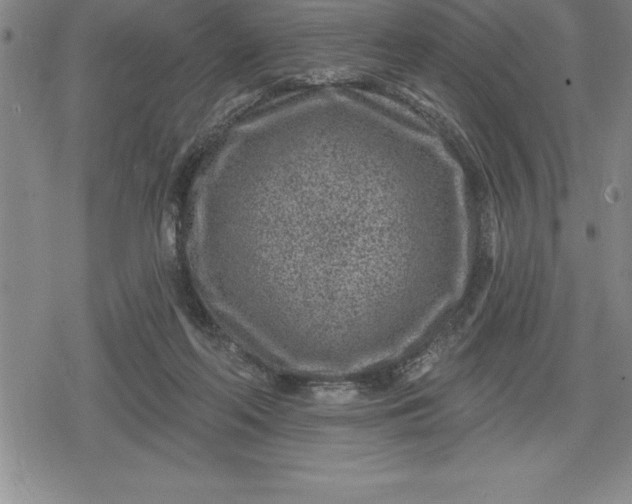 X0000080200214200612221414