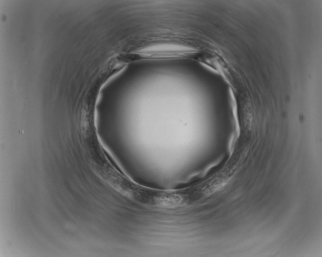 X0000080200215200612221414