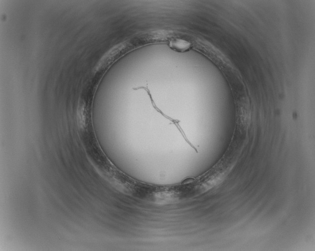 X0000080200216200612221414