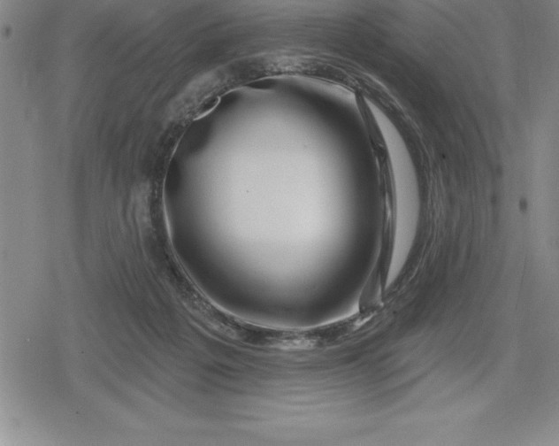 X0000080200217200612221414