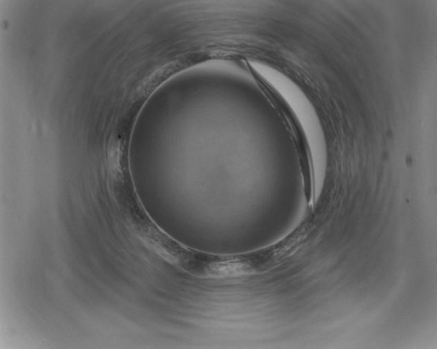 X0000080200219200612221413