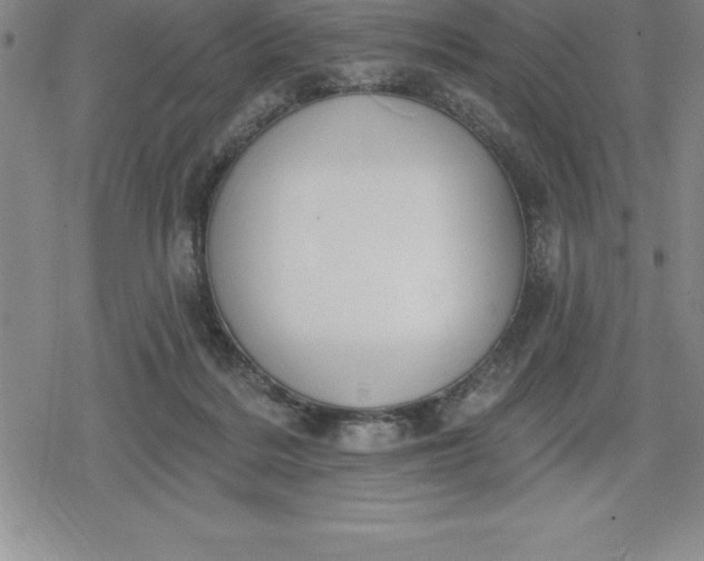 X0000080200220200612221413