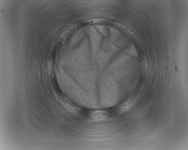 X0000080200222200612221413