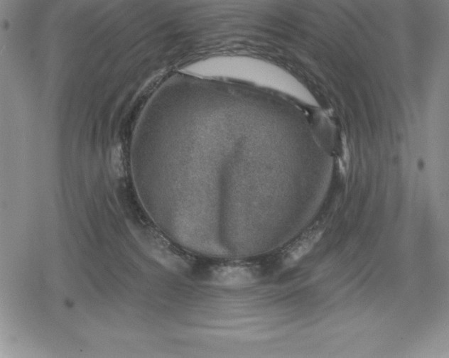 X0000080200224200612221413