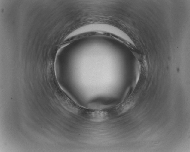 X0000080200225200612221413