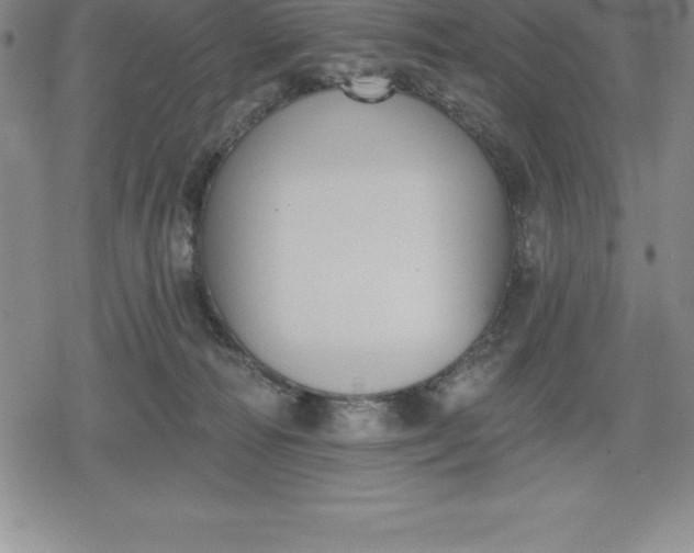 X0000080200226200612221413