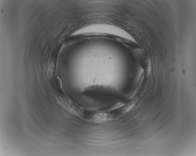 X0000080200227200612221413