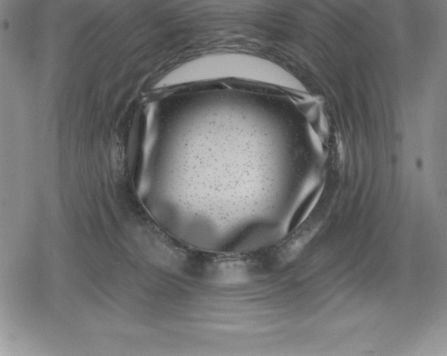 X0000080200228200612221413