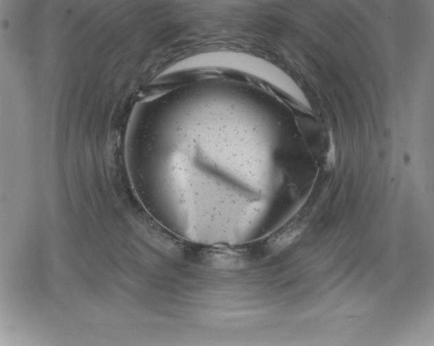 X0000080200229200612221413