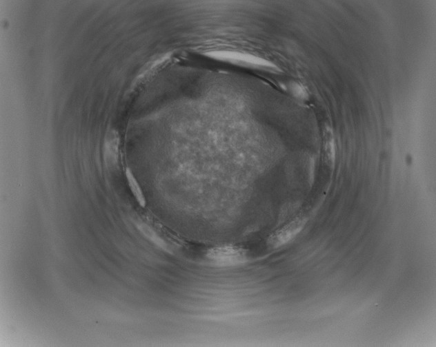 X0000080200231200612221413